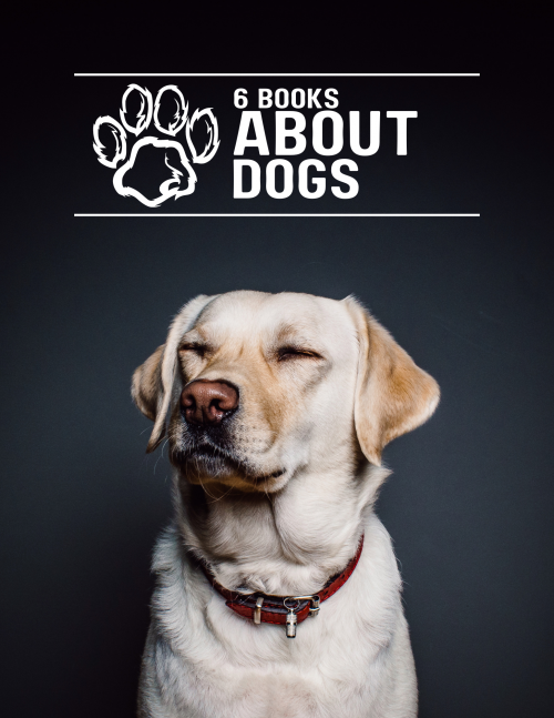 Dog training and care books digital PDF bundle